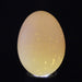 Cordless Ultra-Bright LED Egg Candler