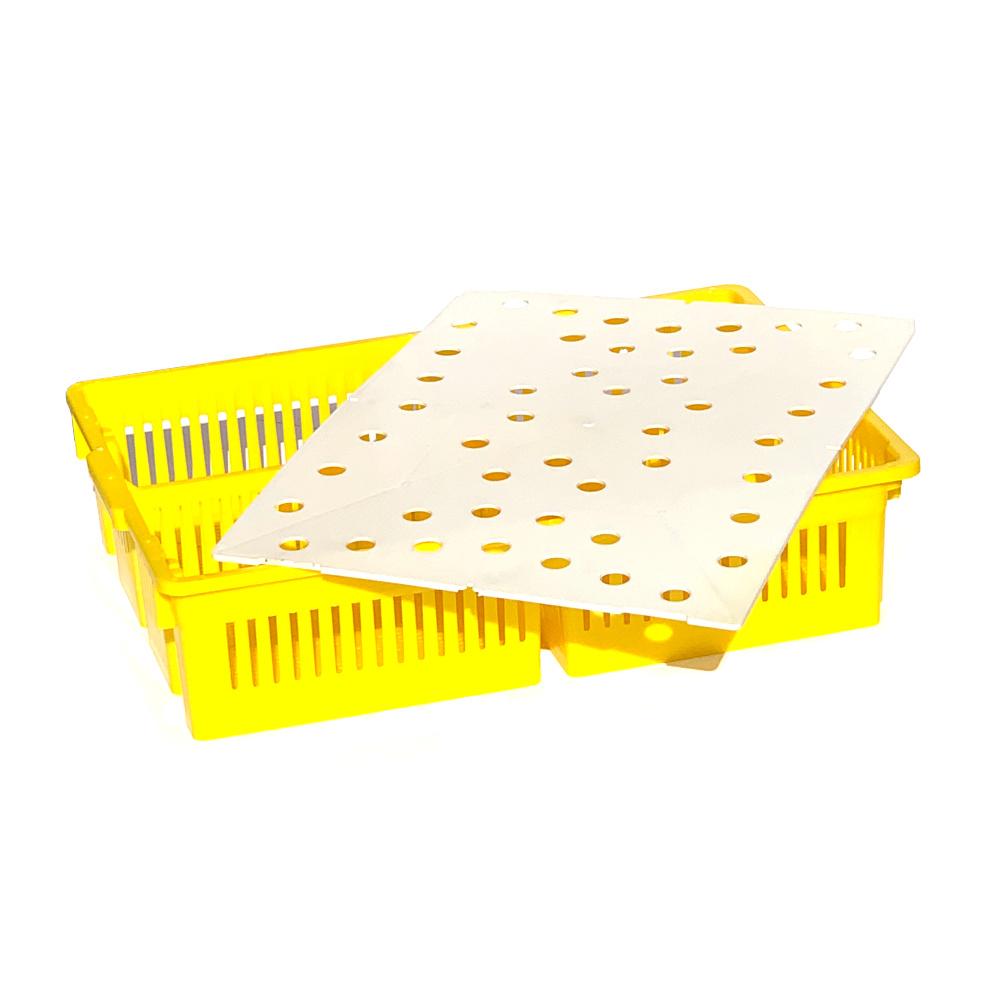 AYTAV Large Chick Basket - 4 Section (4x25 Chicks)