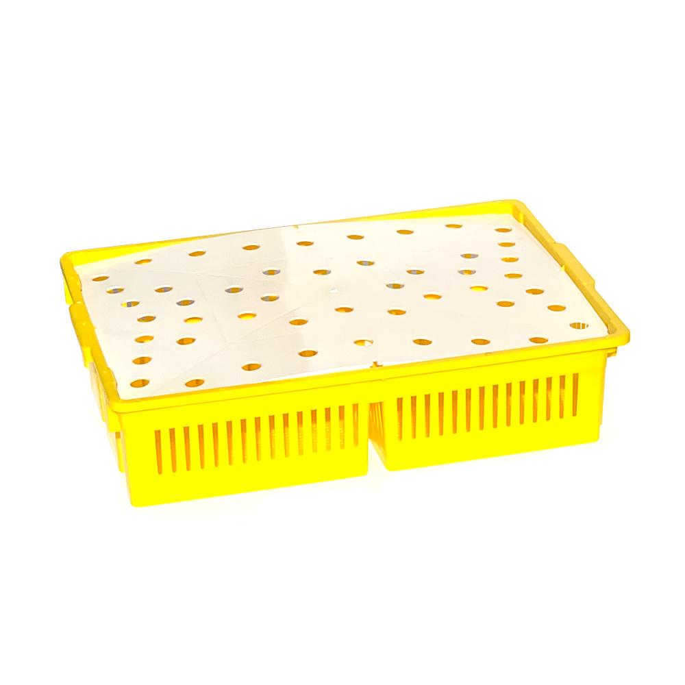 AYTAV Large Chick Basket - 4 Section (4x25 Chicks)