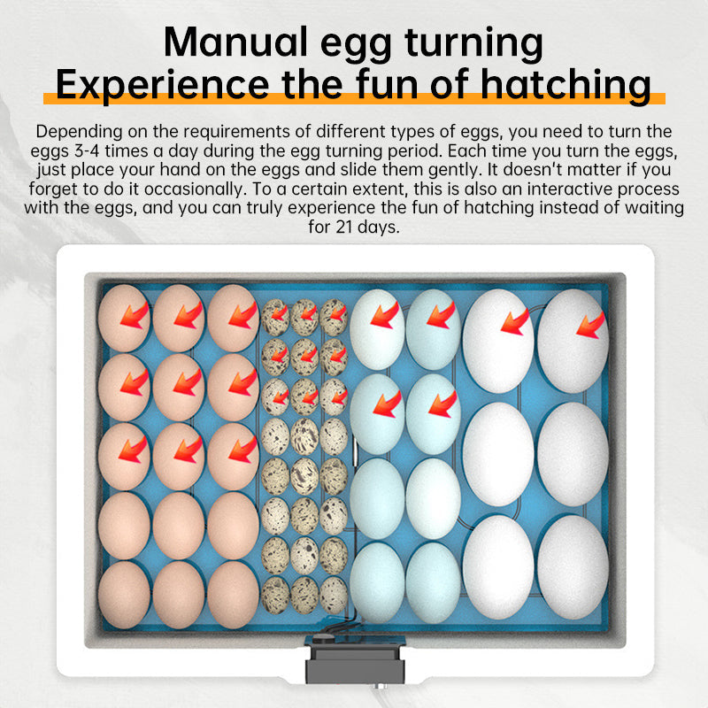 V.I.P Digital Presence Semi-Automatic Foam Thermostatic Small Poultry Incubator manual