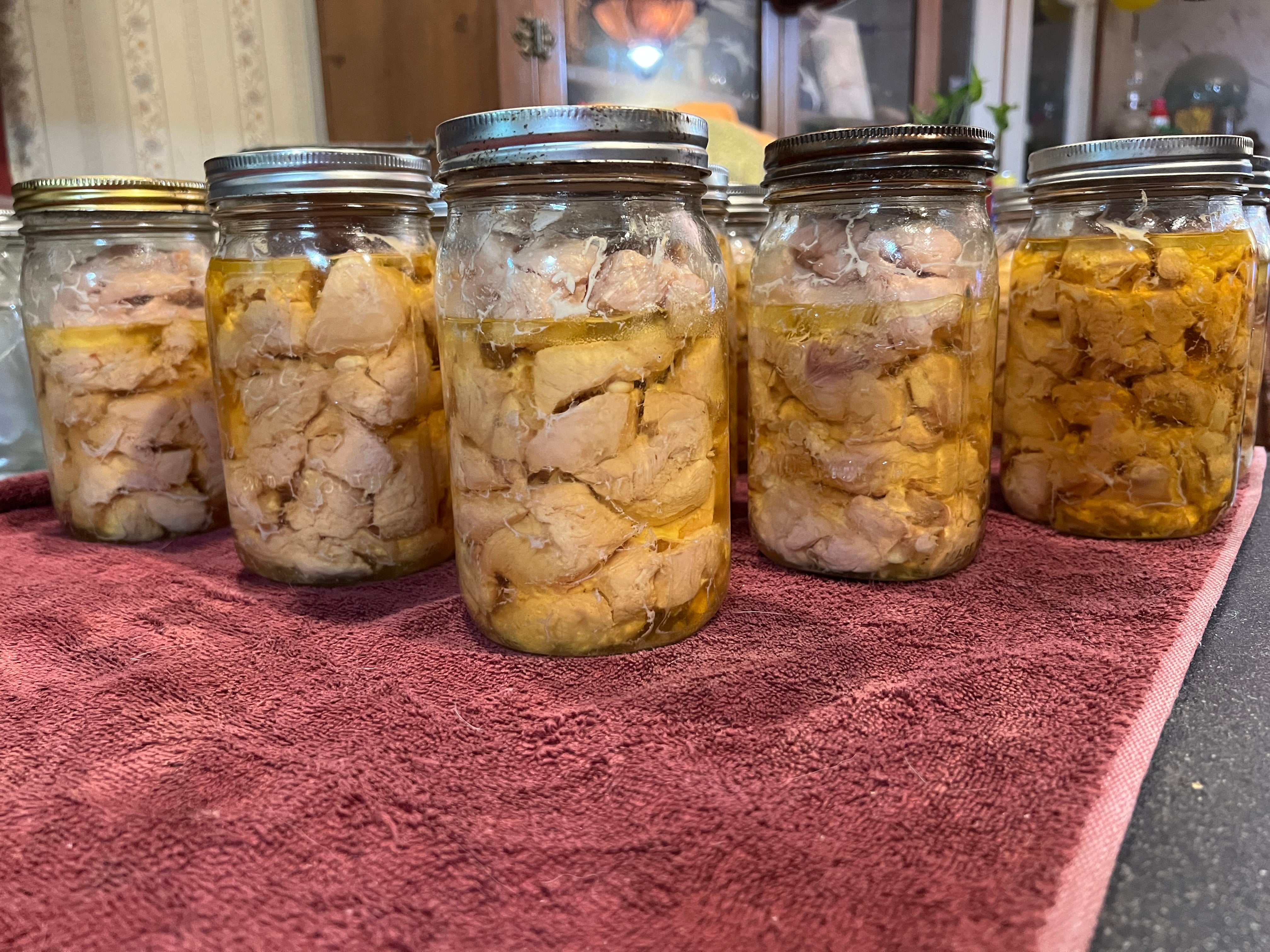 North Star Farms - White American Bresse – North Star Line- "JENN'S GEMS" Group