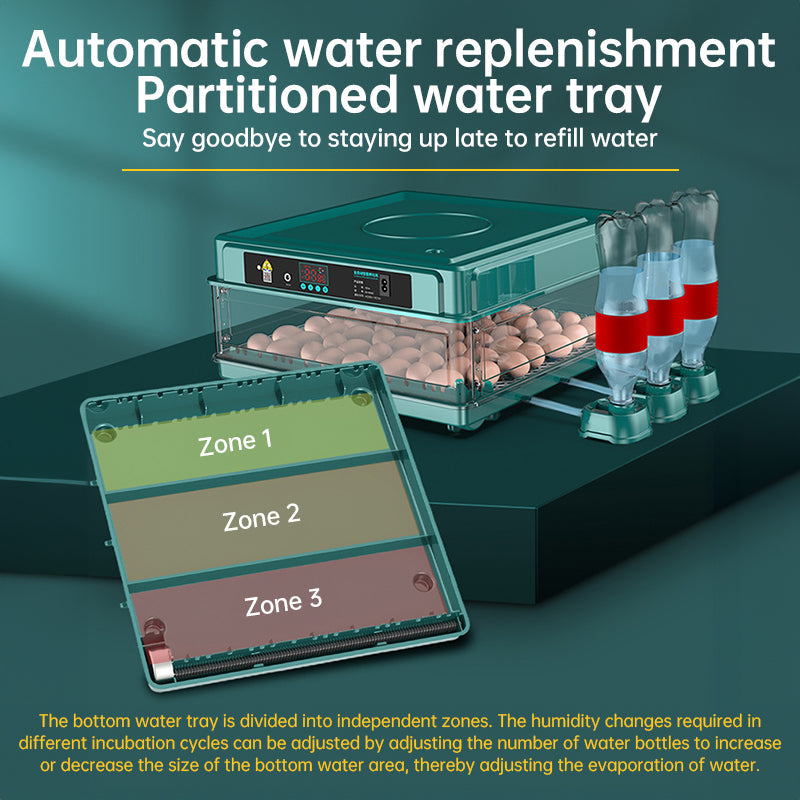 Incubadora para 9–48 huevos — Eclosión fácil en casa (giro automático + monitor de humedad)