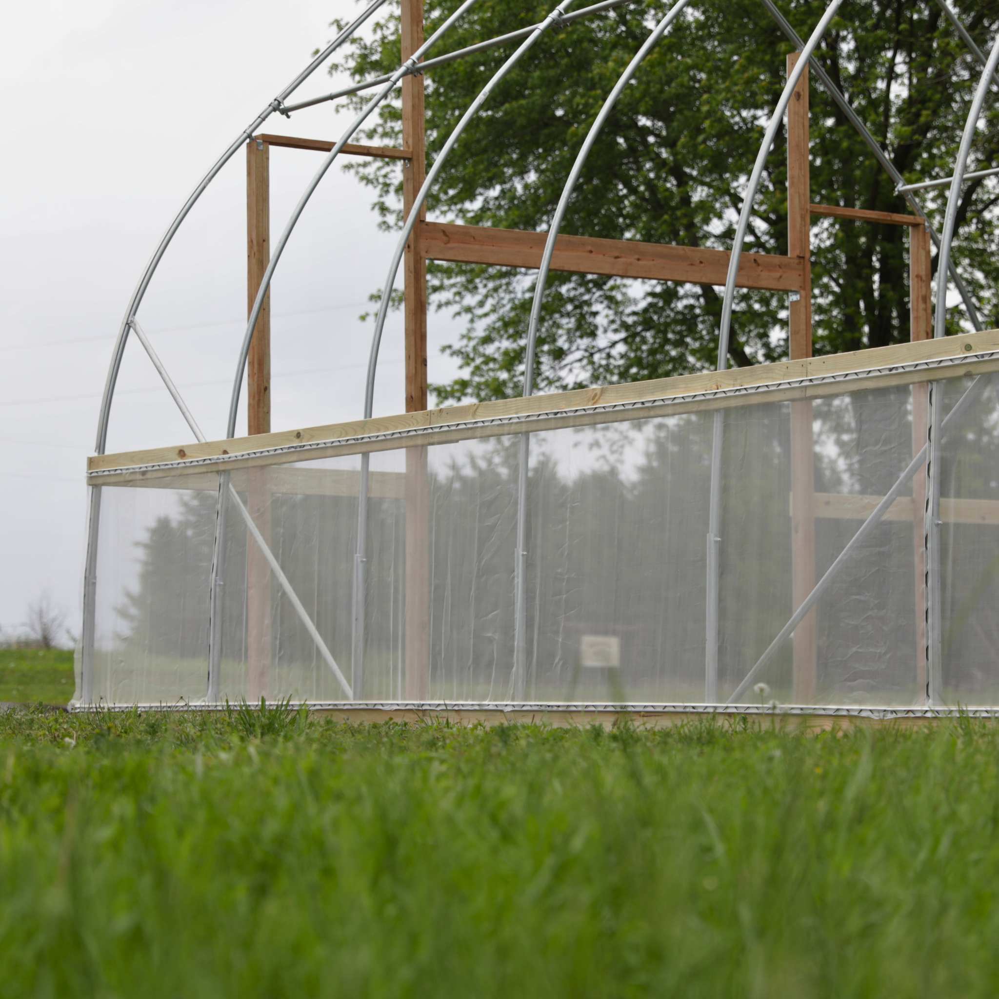 Bootstrap Farmer DIY Gothic Polytunnel Hoop Coop