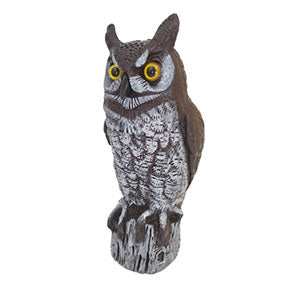 Owl Decoy to Scare Coop Predators
