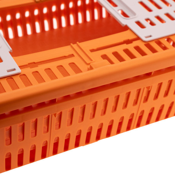 Hatching Time Transport Coop - Quail & Pigeon