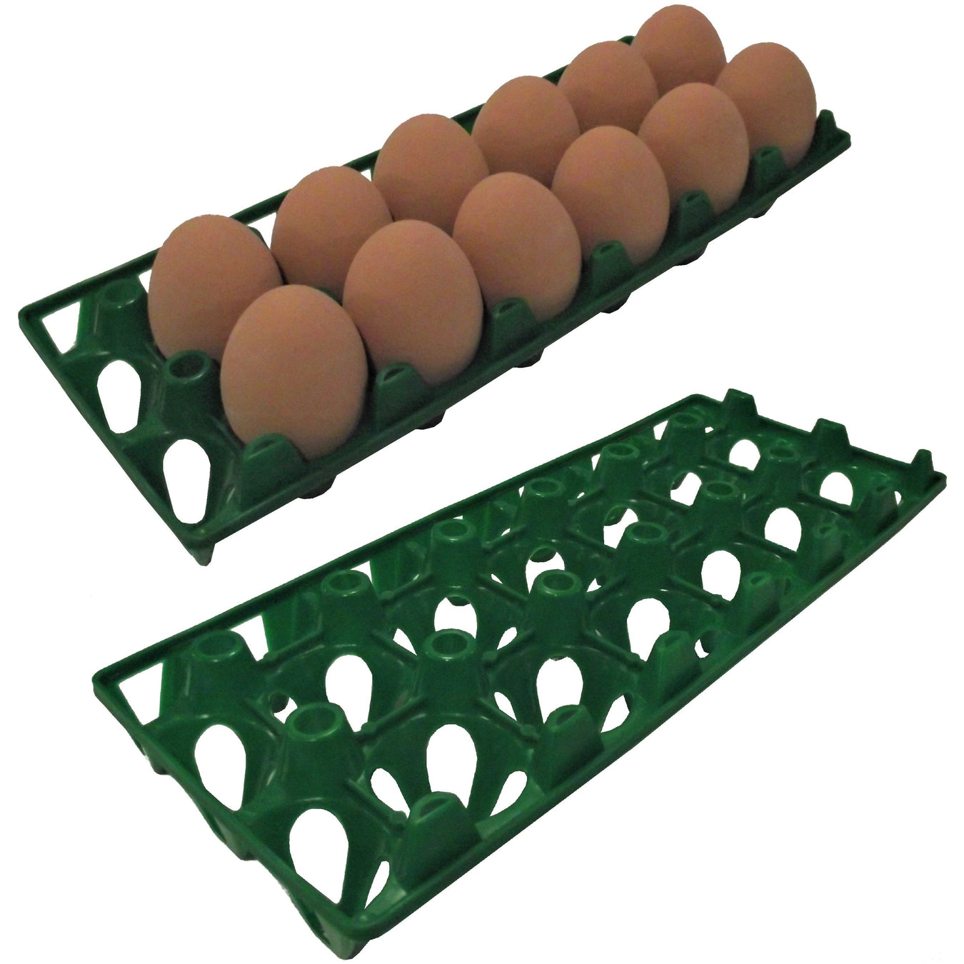 Egg Cartons
