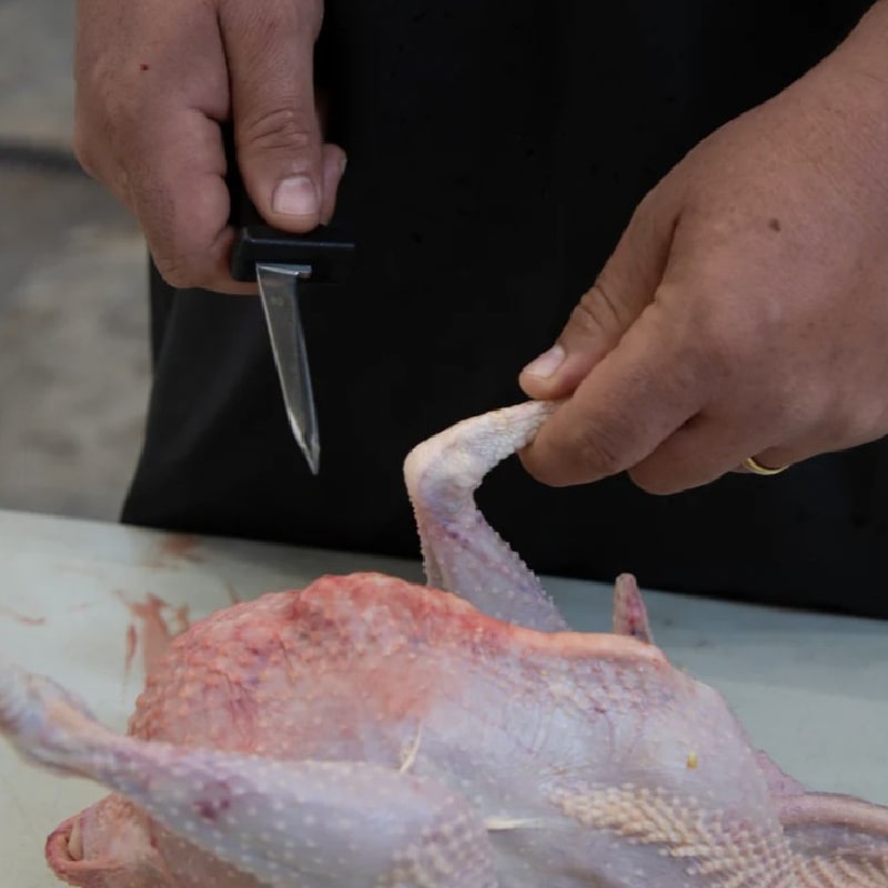 Yardbird Poultry Processing Knife Model 47185