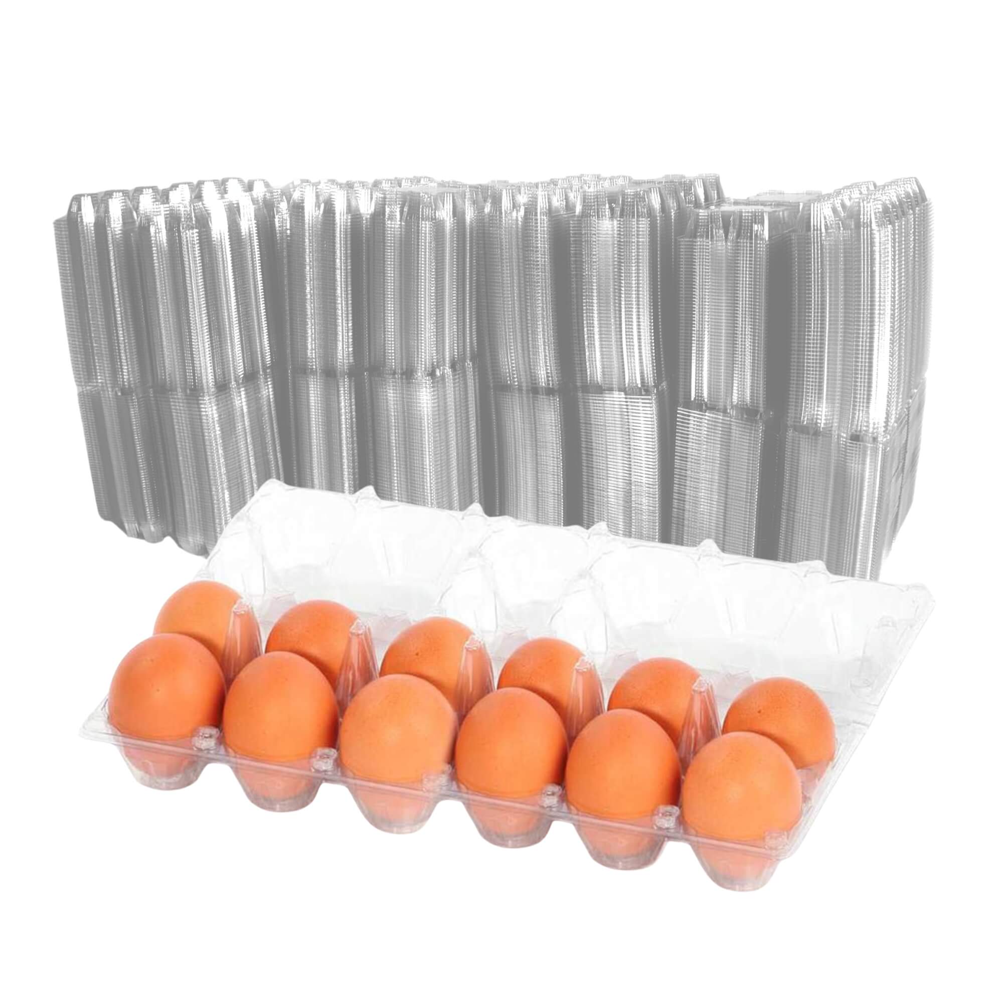 Dozen chicken egg carton with transparent plastic construction
