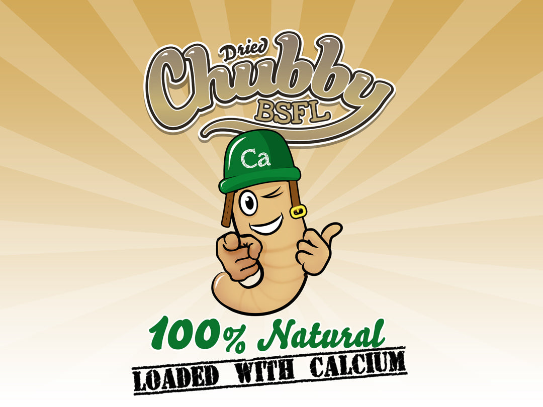 Dried Chubby BSFL 100% Natural Label