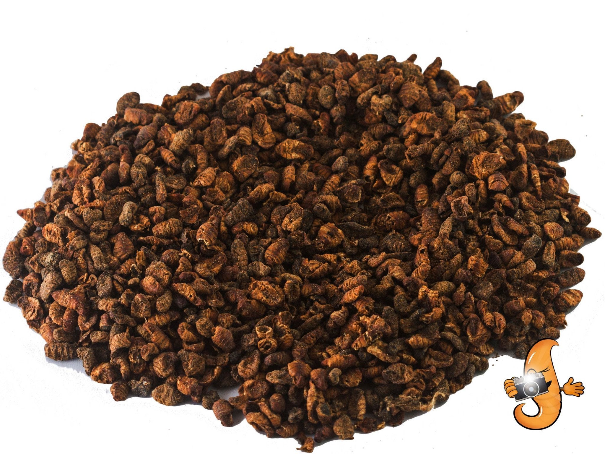 Dried Silkworm Pupae high-protein insect treat