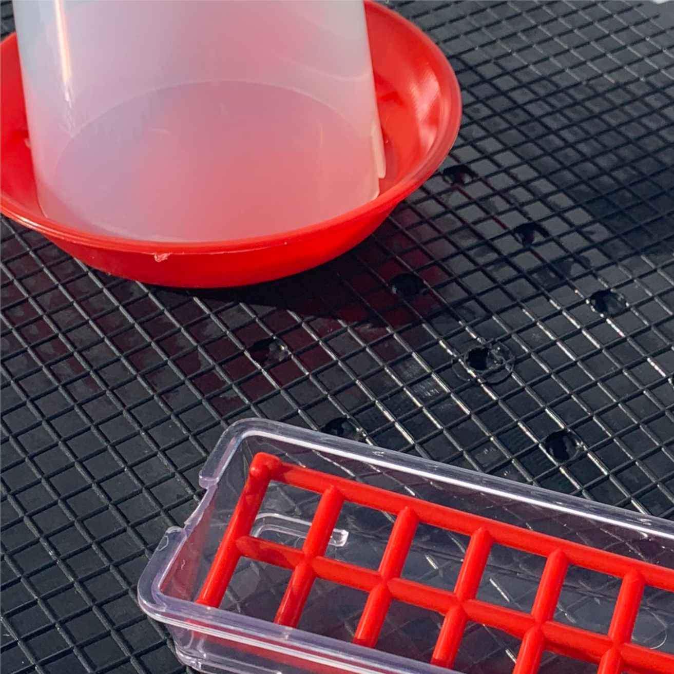 Hatching Time Chick Brooder Floor Mat