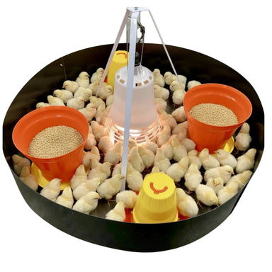 SureGrow™ 100 Chick Brooder - Infrared Electric Brooder Drinkers and feeders