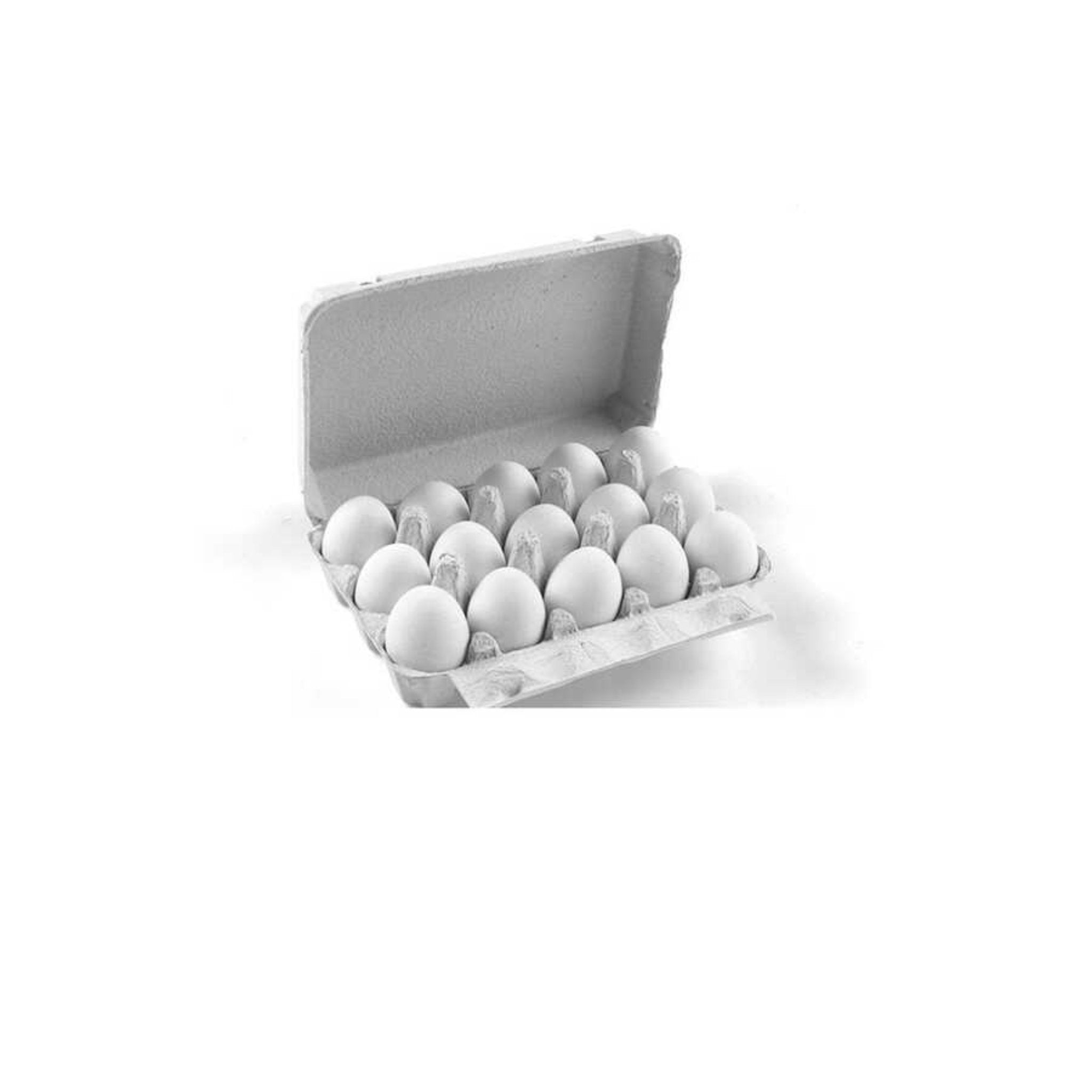 Hatching Time 15-Egg Cartons - Natural Pulp, Flat Top Blank