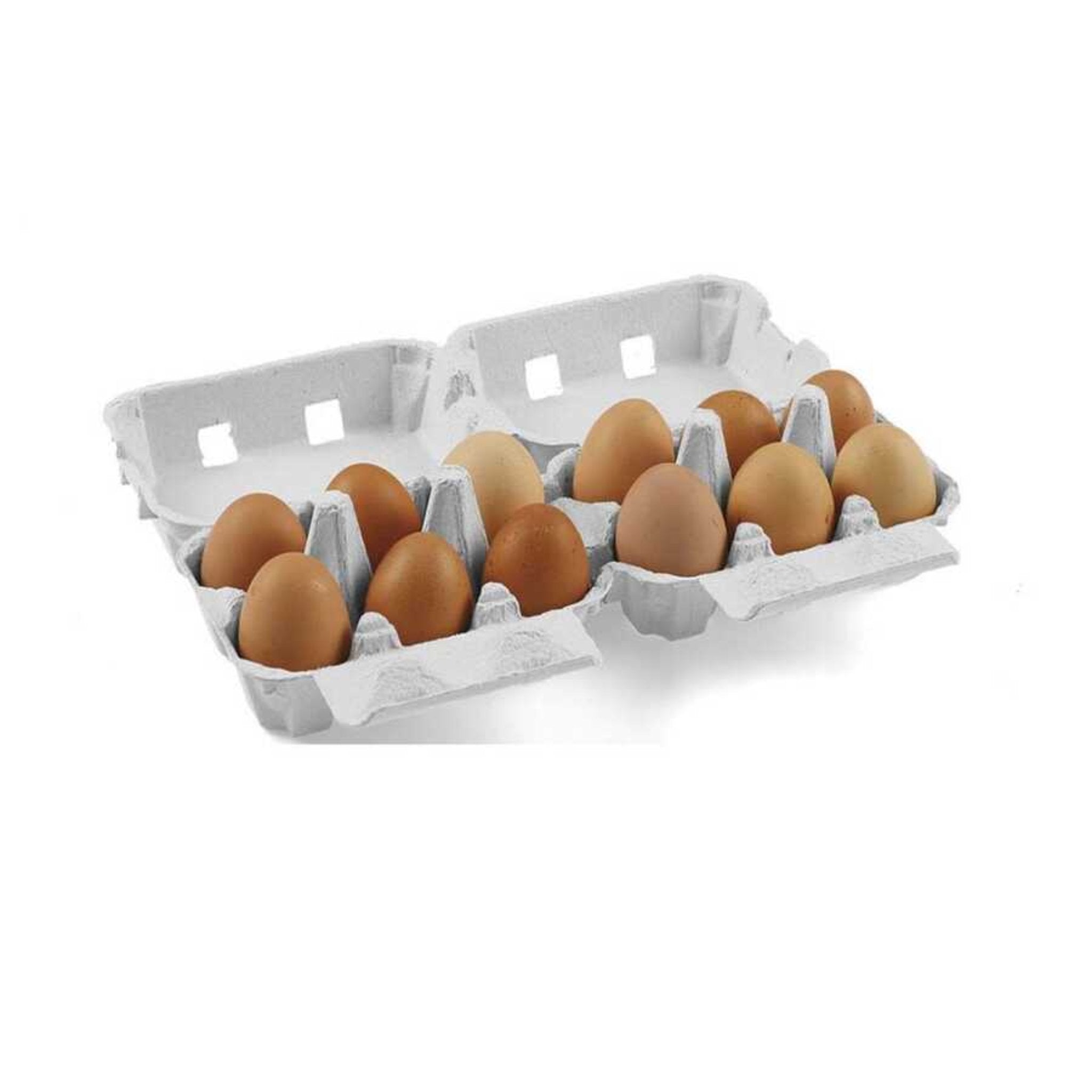 Hatching Time 12-Egg Cartons (2x6) - Natural Pulp, Flat Top Blank