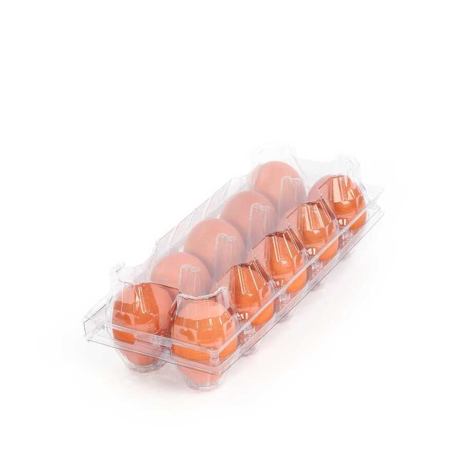 Hatching Time 10-Egg Carton - Clear Plastic