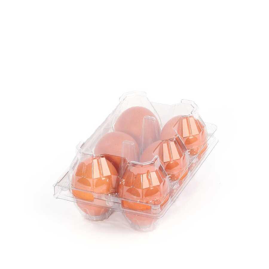 Hatching Time 6-Egg Carton - Clear Plastic