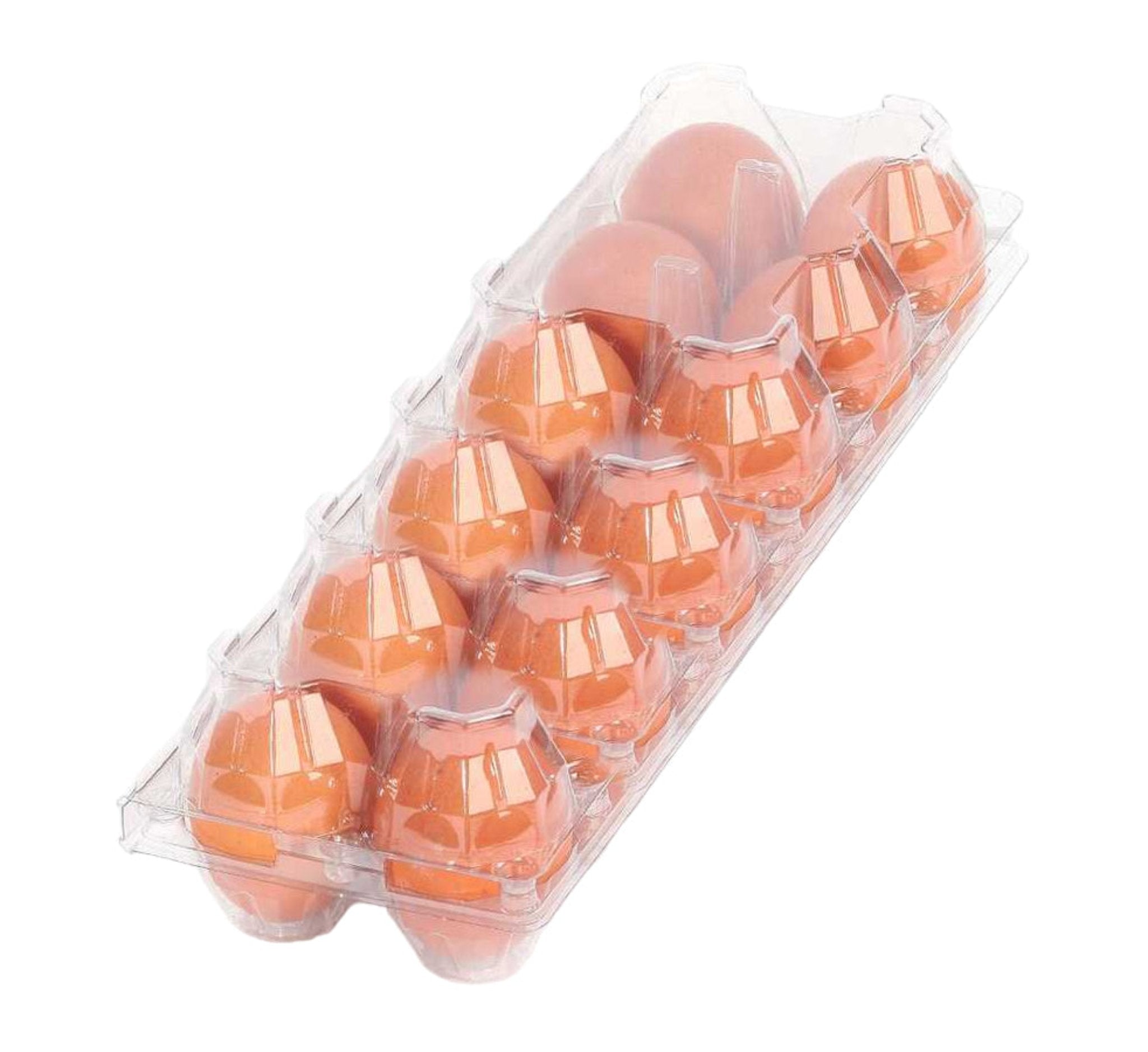 Hatching Time 12-Egg Cartons - Clear Plastic