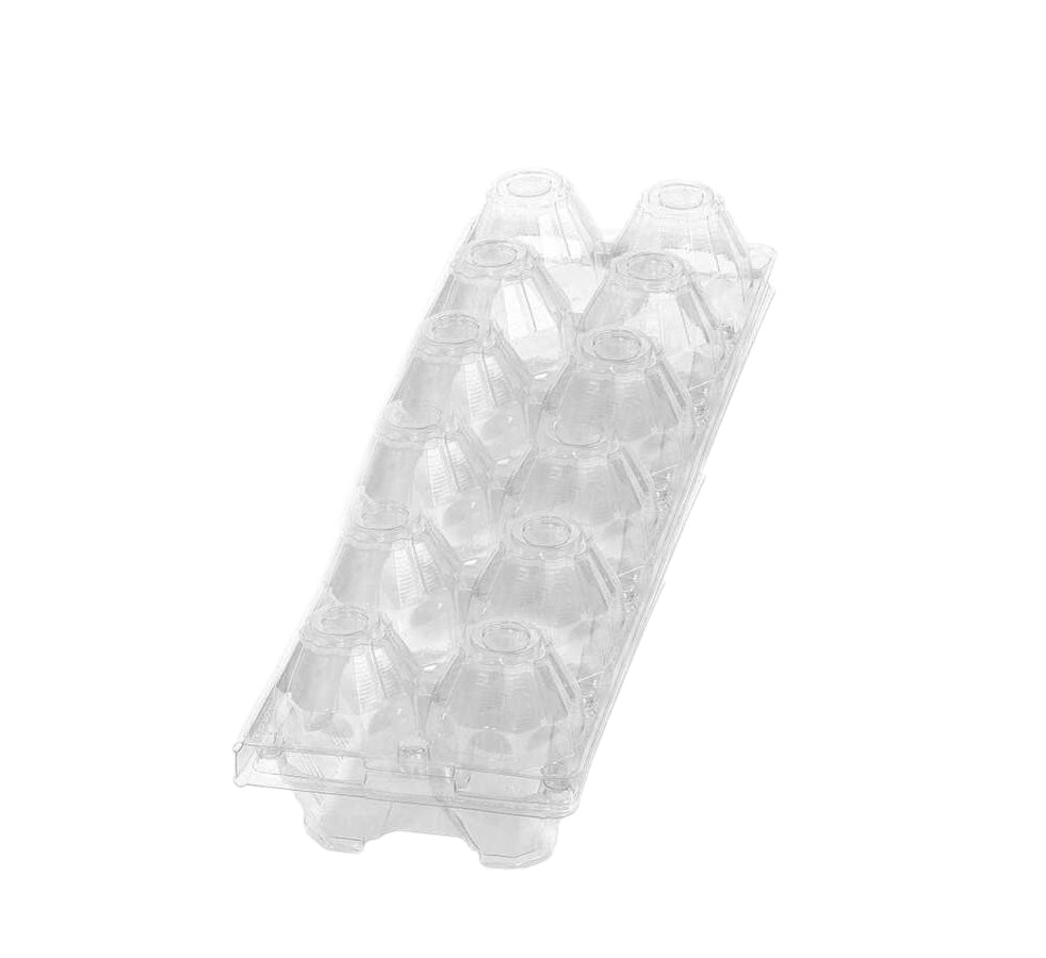 Hatching Time 12-Egg Cartons - Clear Plastic