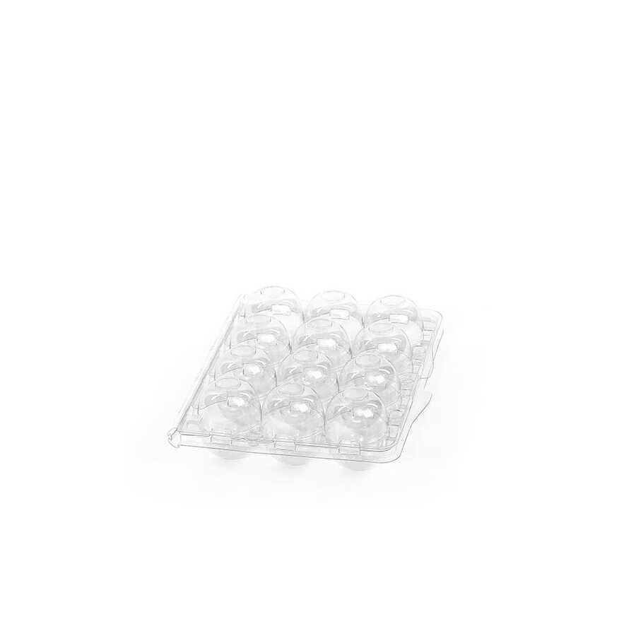 Hatching Time 12-Egg Carton (Quail) - Clear Plastic