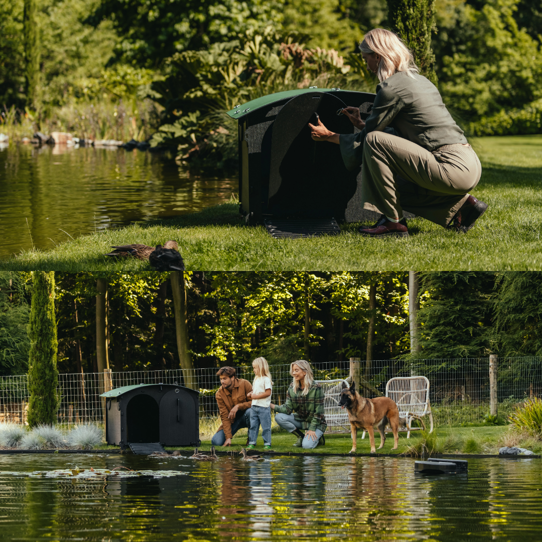 Easy-clean plastic duck house with removable roof and rear door