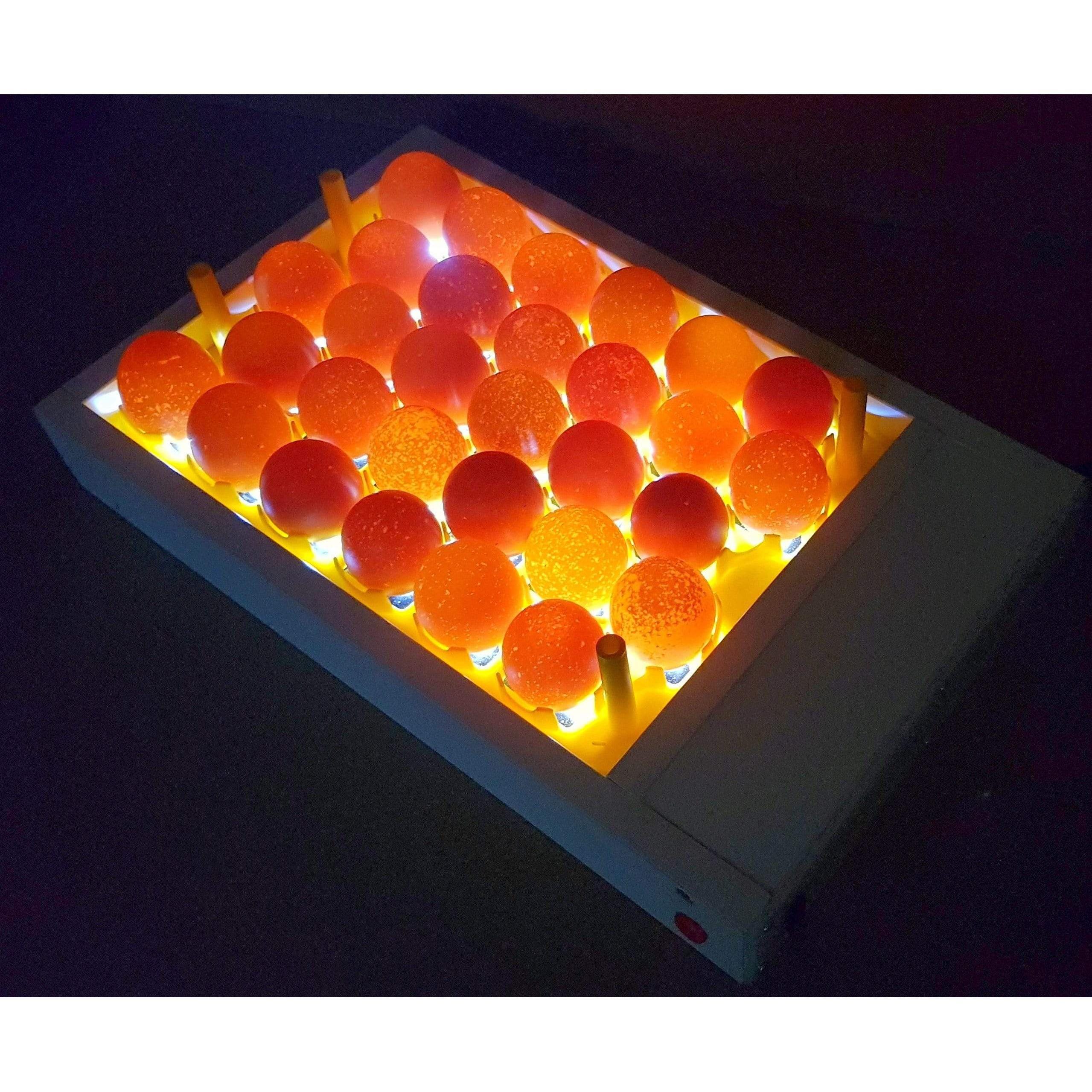 Large Egg Candler for 30 Chicken Eggs | SureView