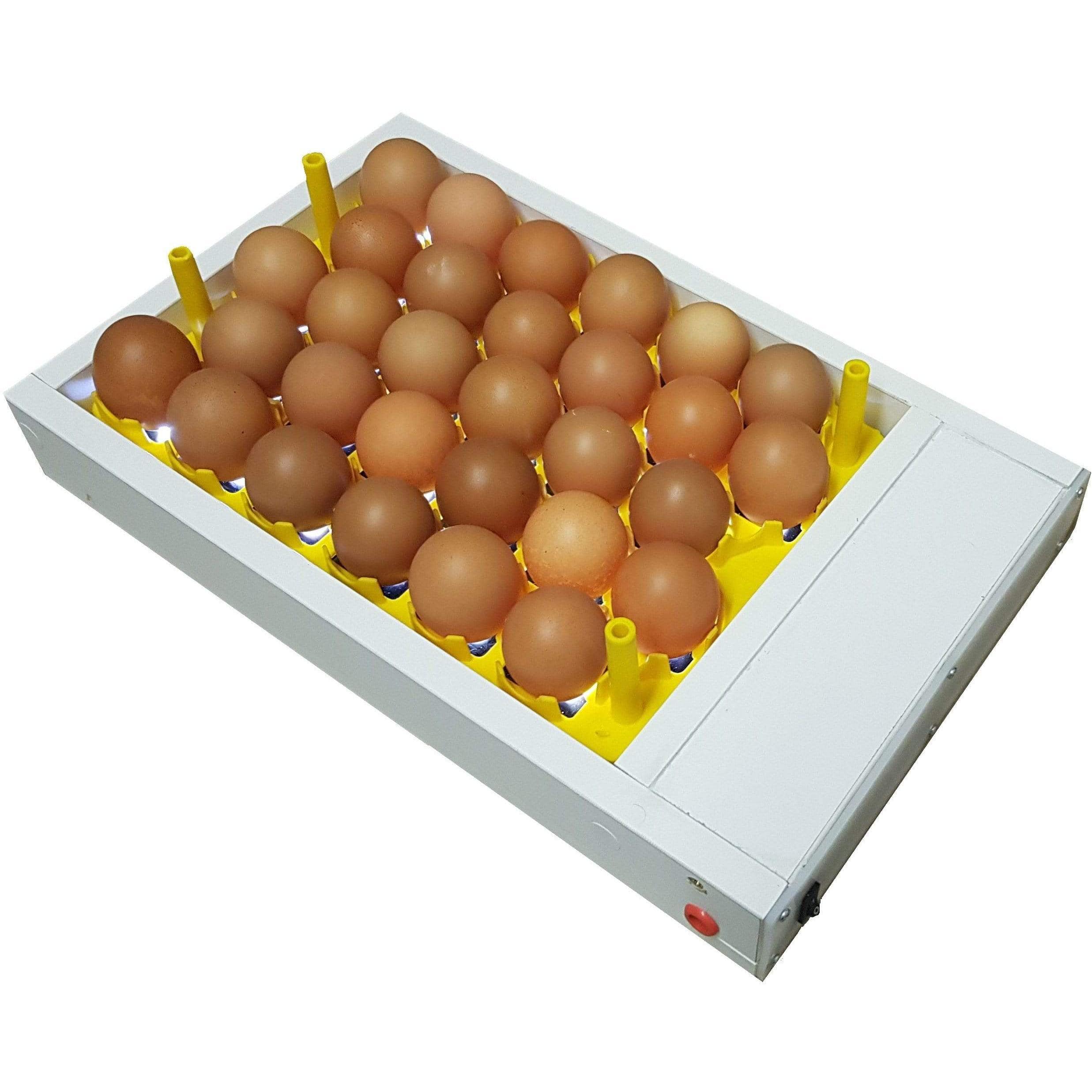 Large Egg Candler for 30 Chicken Eggs | SureView