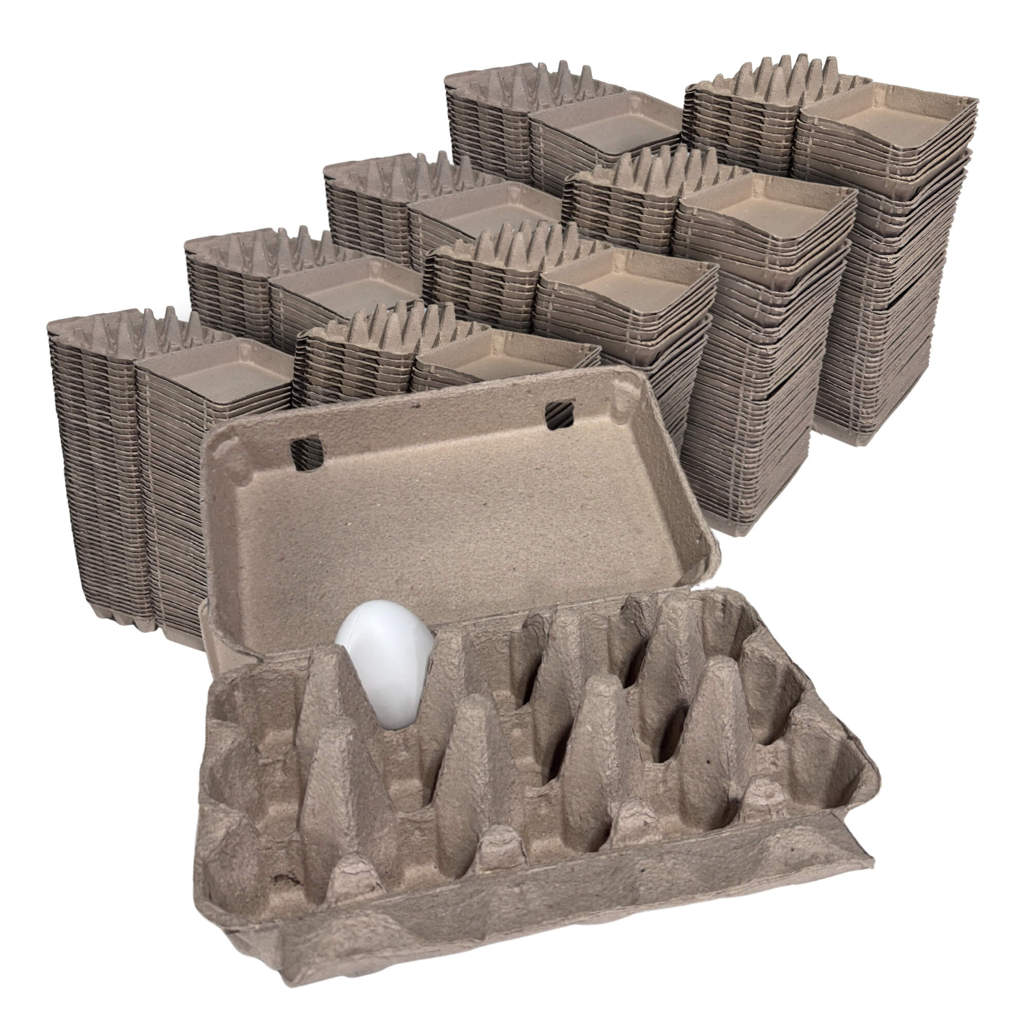 Egg cartons designed for small, medium, large, and extra-large chicken eggs