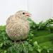 Egyptian Gold Quail Hatching Eggs side view