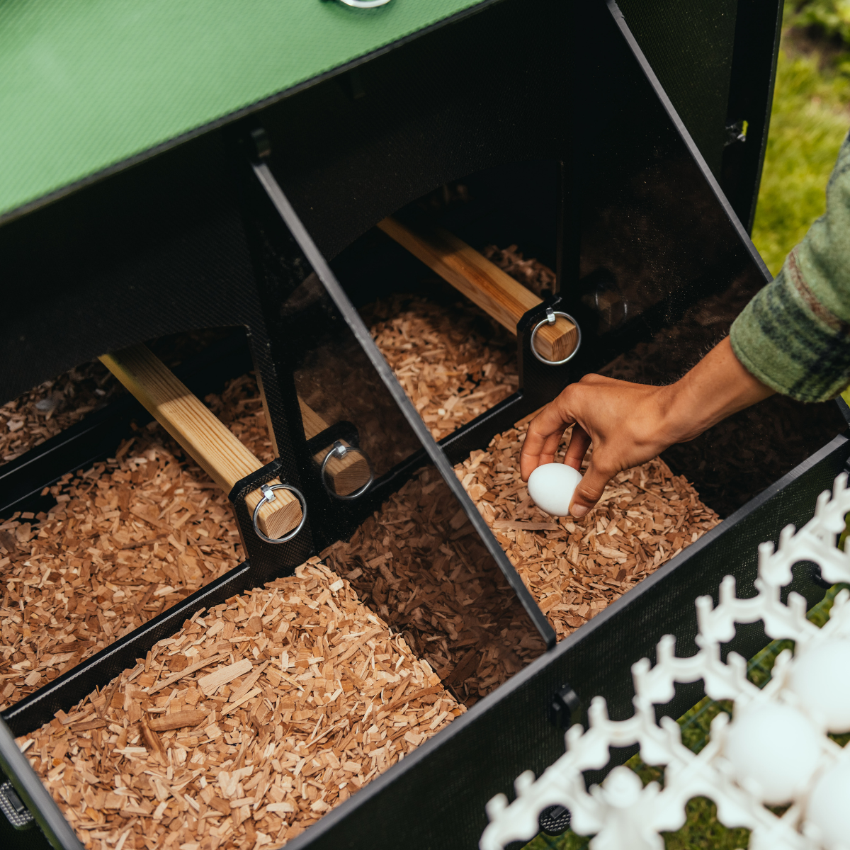 Elevated Nestera chicken coop for easier egg collection