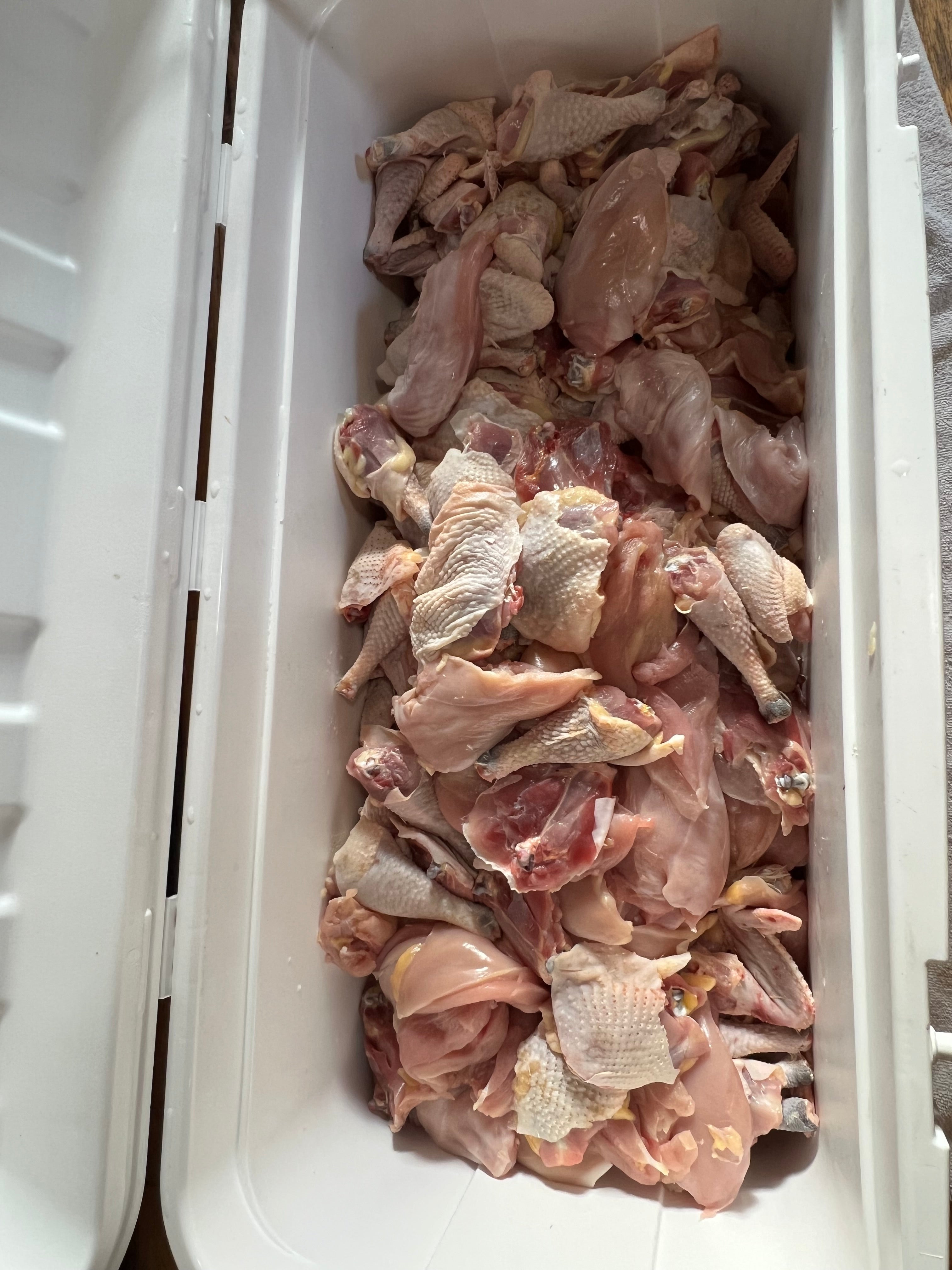 North Star Farms - White American Bresse – North Star Line- "JENN'S GEMS" Group