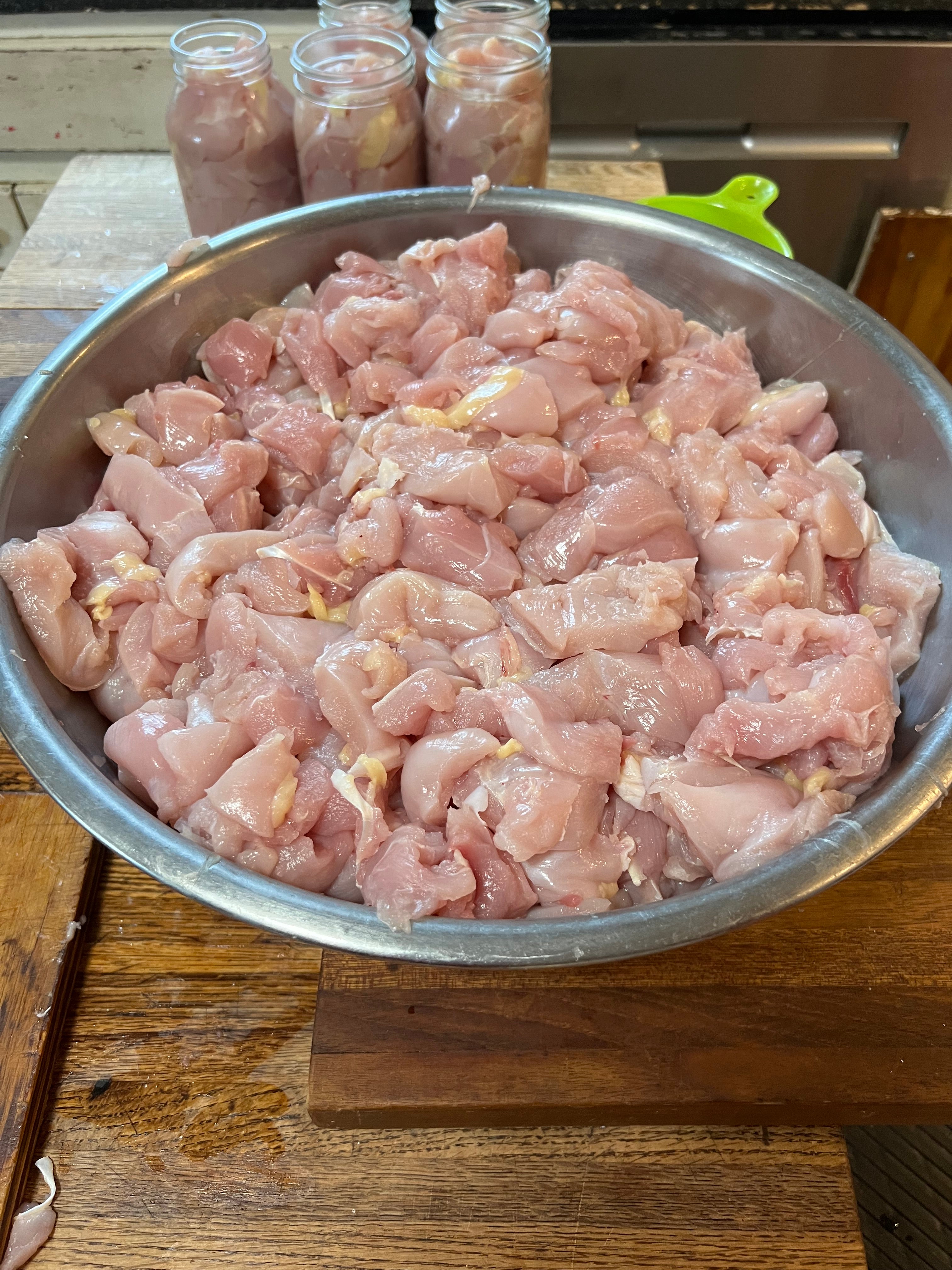 North Star Farms - White American Bresse – North Star Line- "JENN'S GEMS" Group