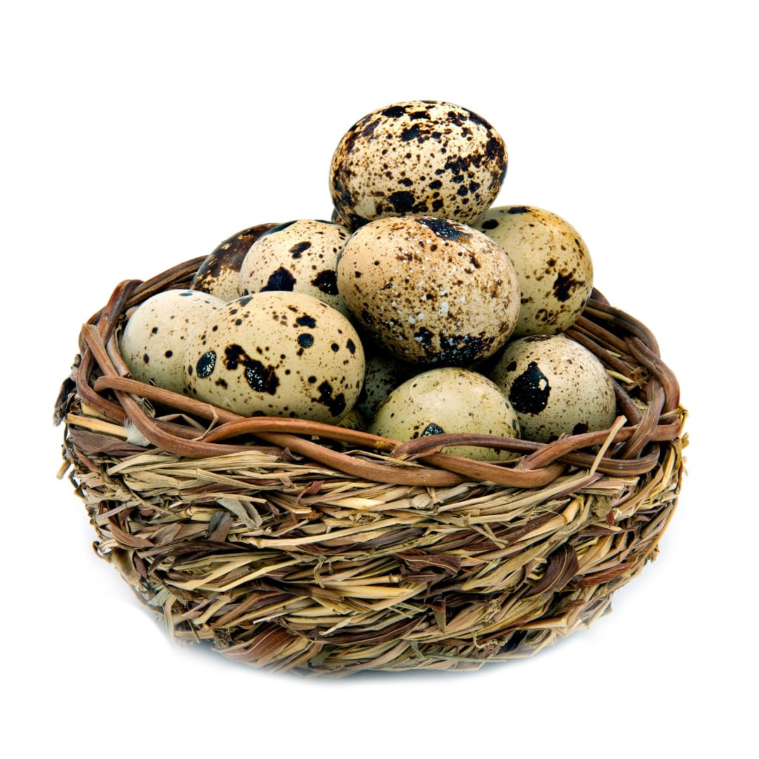 Farm-Fresh Quail Eggs