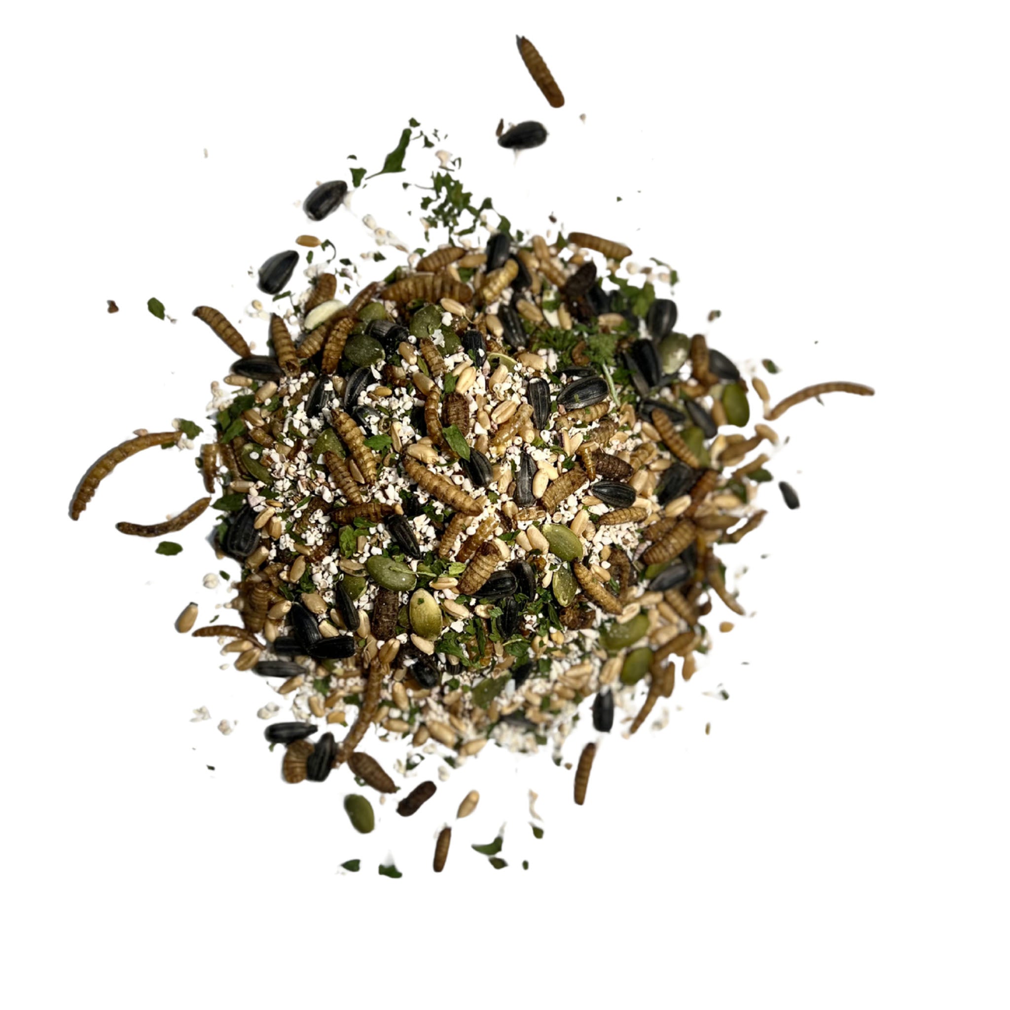 The Good Life Backyard Feather and Shell – Calci-Protein Blend closeup