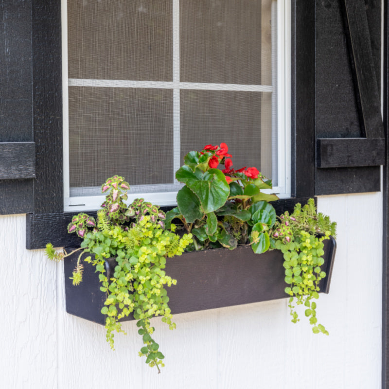 Flower Box | Hen House Collection