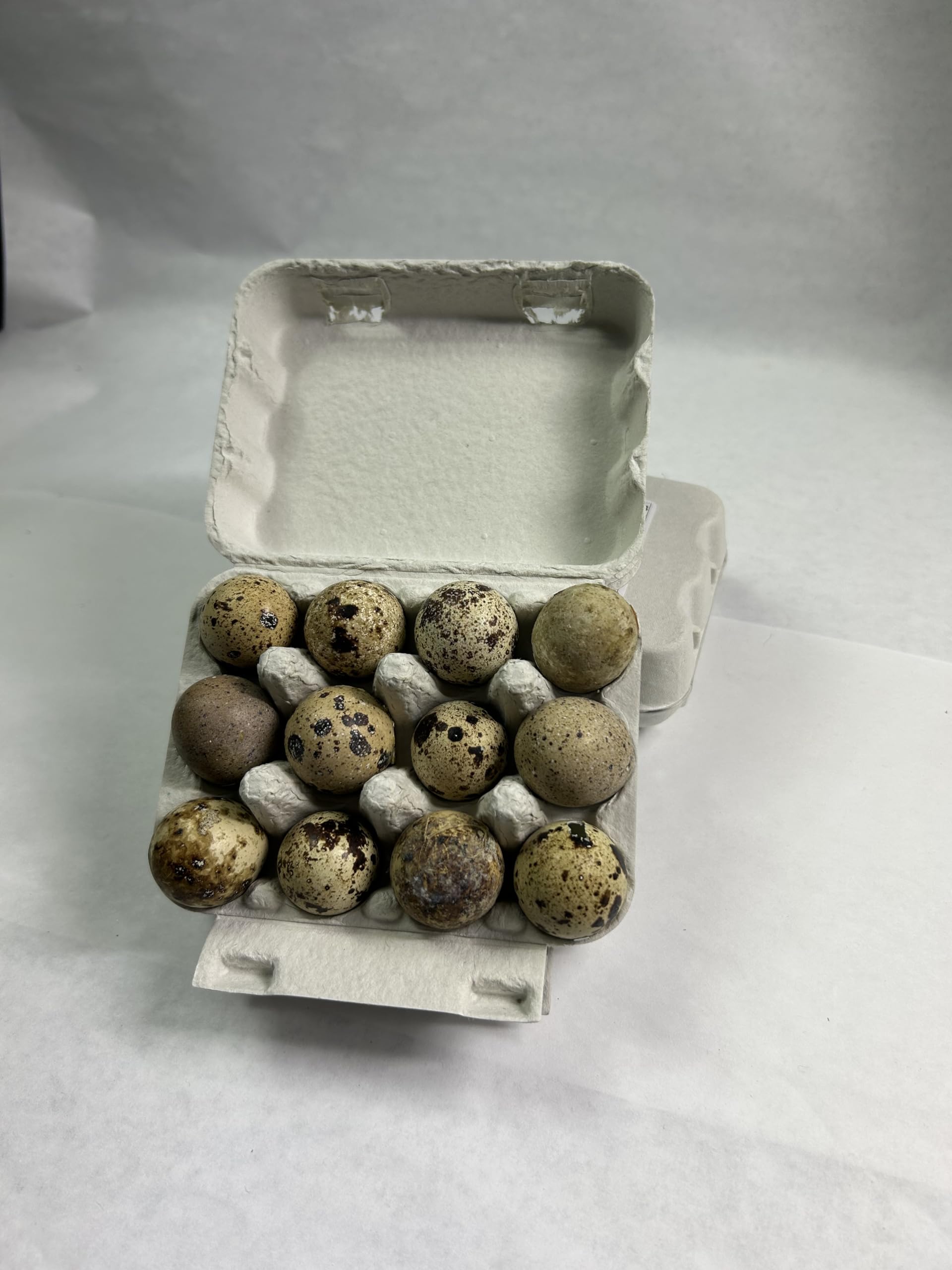 Fresh Quail Eggs Sold by the Dozen