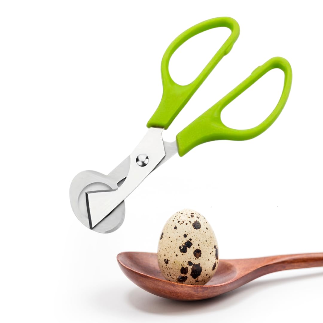 Fresh Quail Eggs from USA Farms