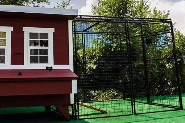 OverEZ Chicken Run 8' Walk-In, Stand-Alone or Attachable