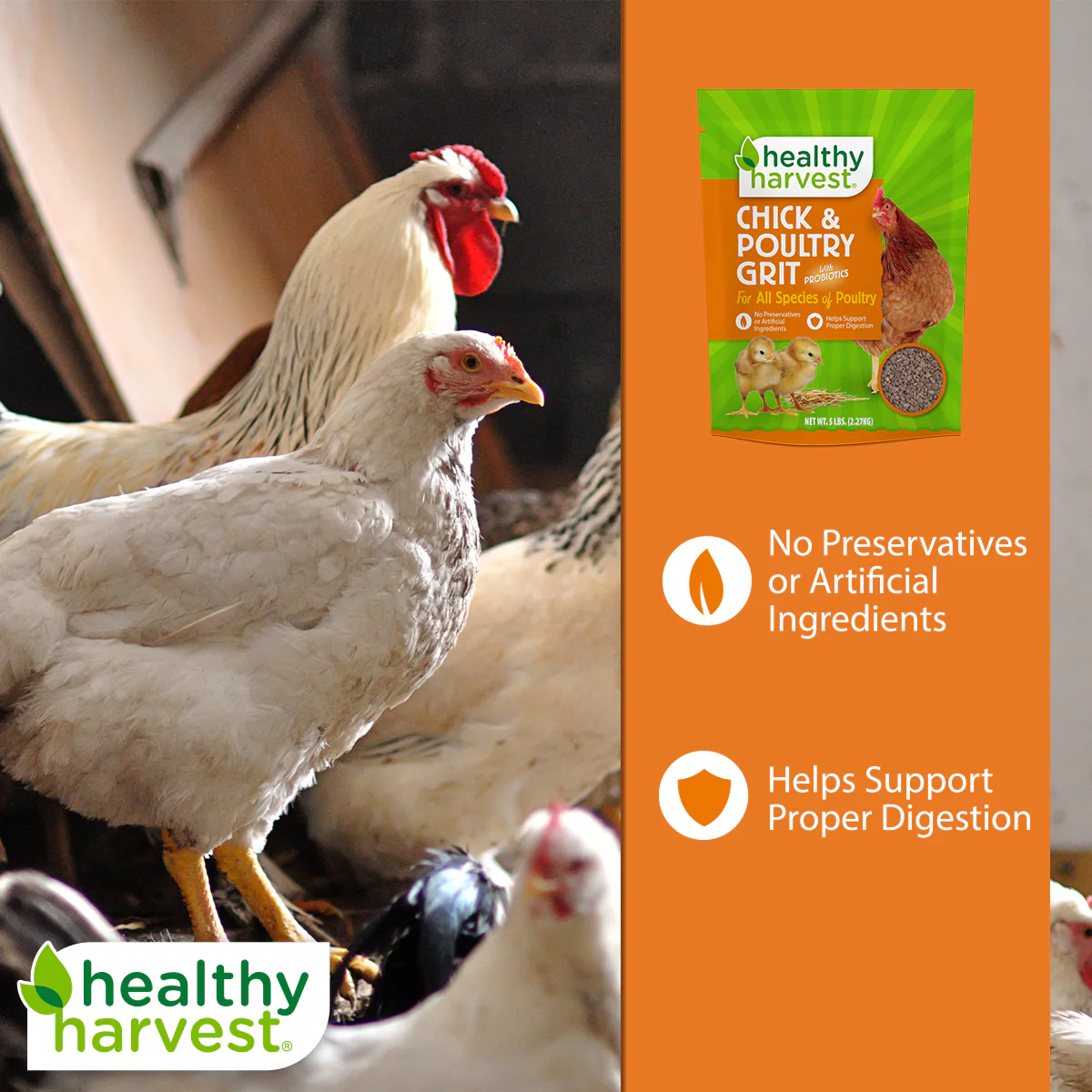 Kalmbach Healthy Harvest Chick and Poultry Grit - 5 lb