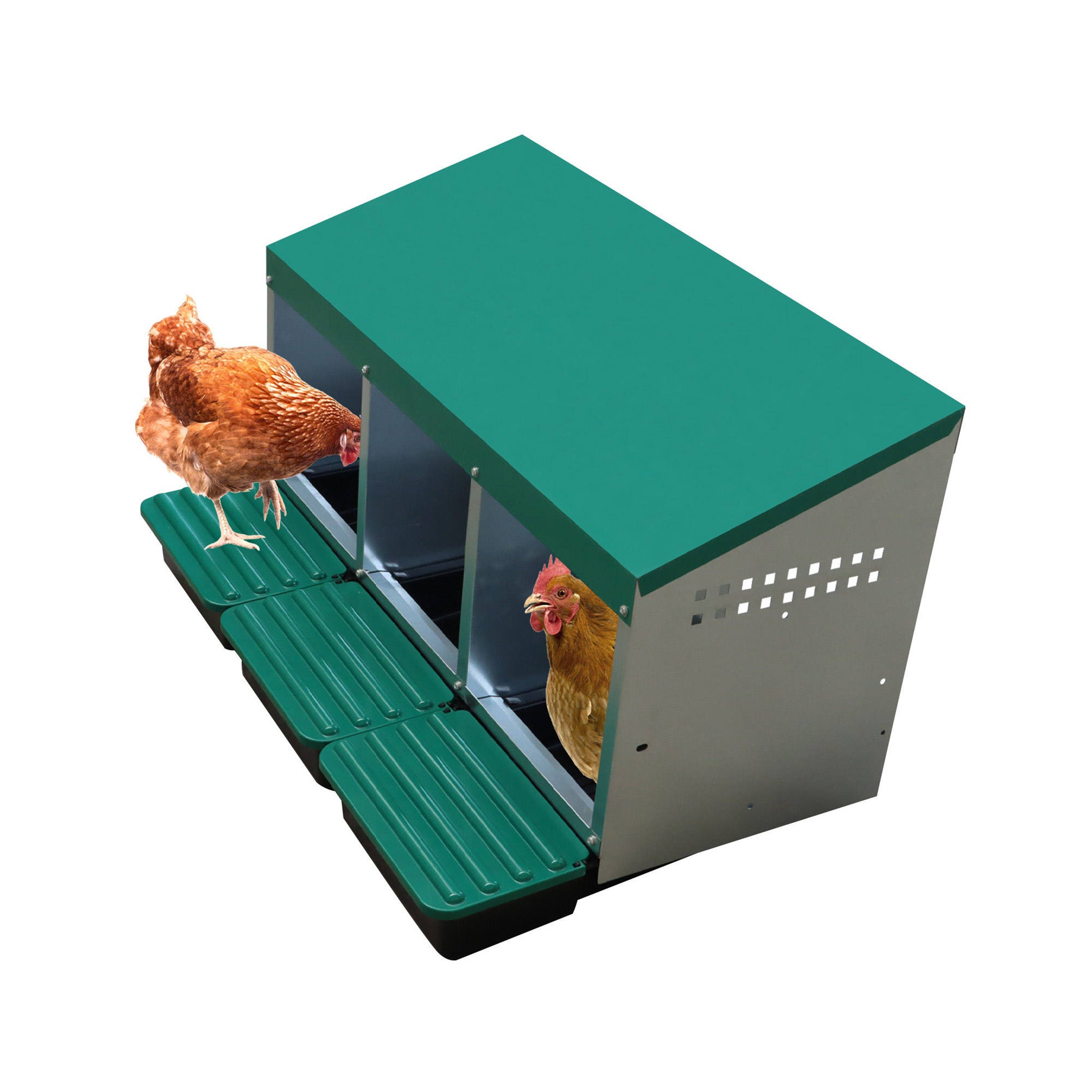 Galvanized metal chicken nesting box with three compartments and green roll-out nesting trays.