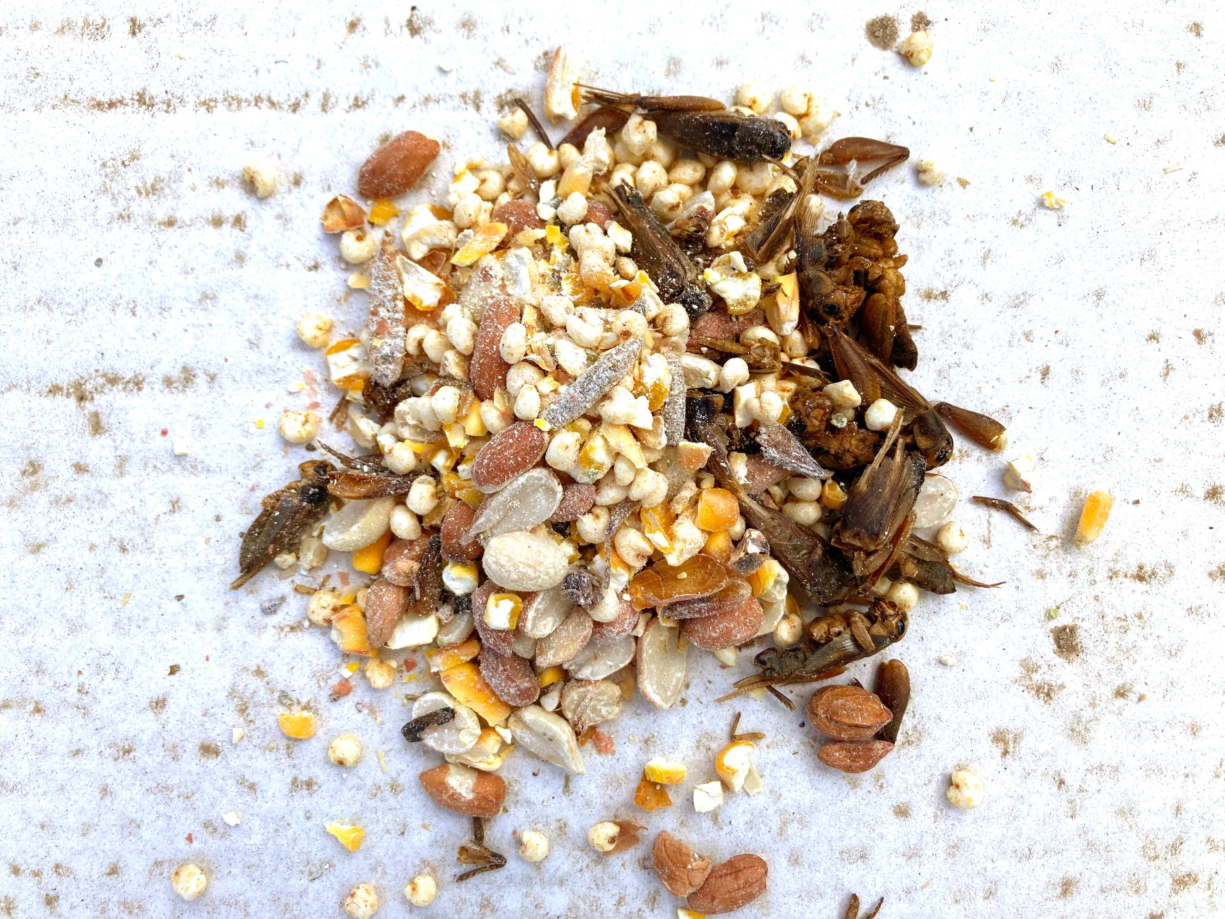 Pampered Chicken Mama Henergy Textured Treat: Makes Cooped Chickens Happy!