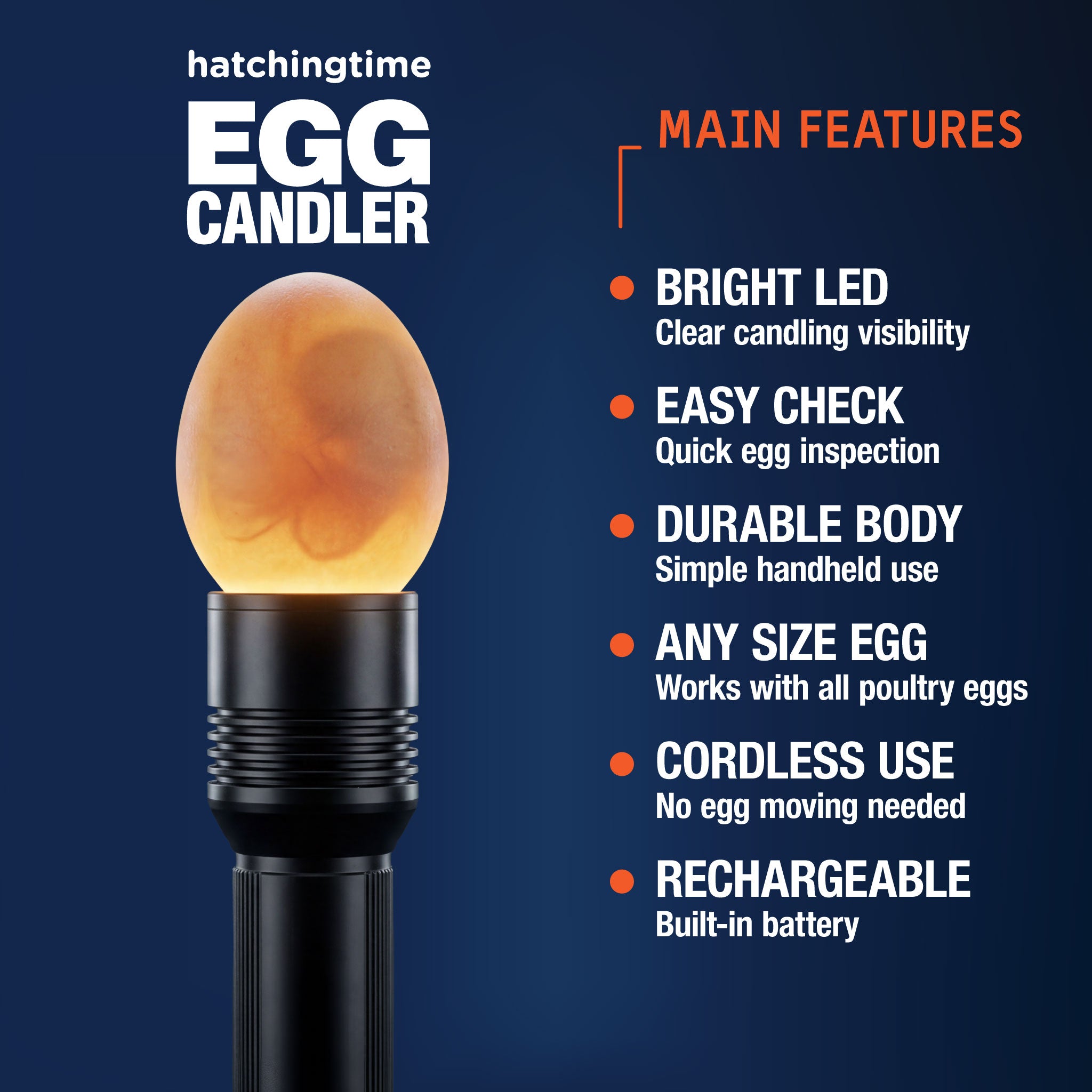 Handheld rechargeable egg candling light for monitoring chicken egg development