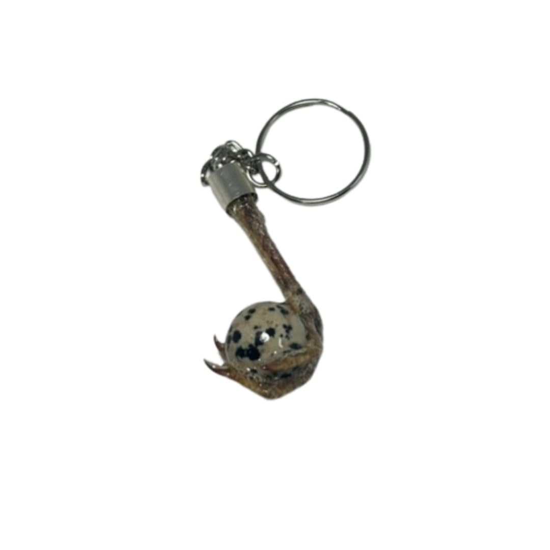 Handmade Real Quail Egg Keychain with Natural Antler Accent