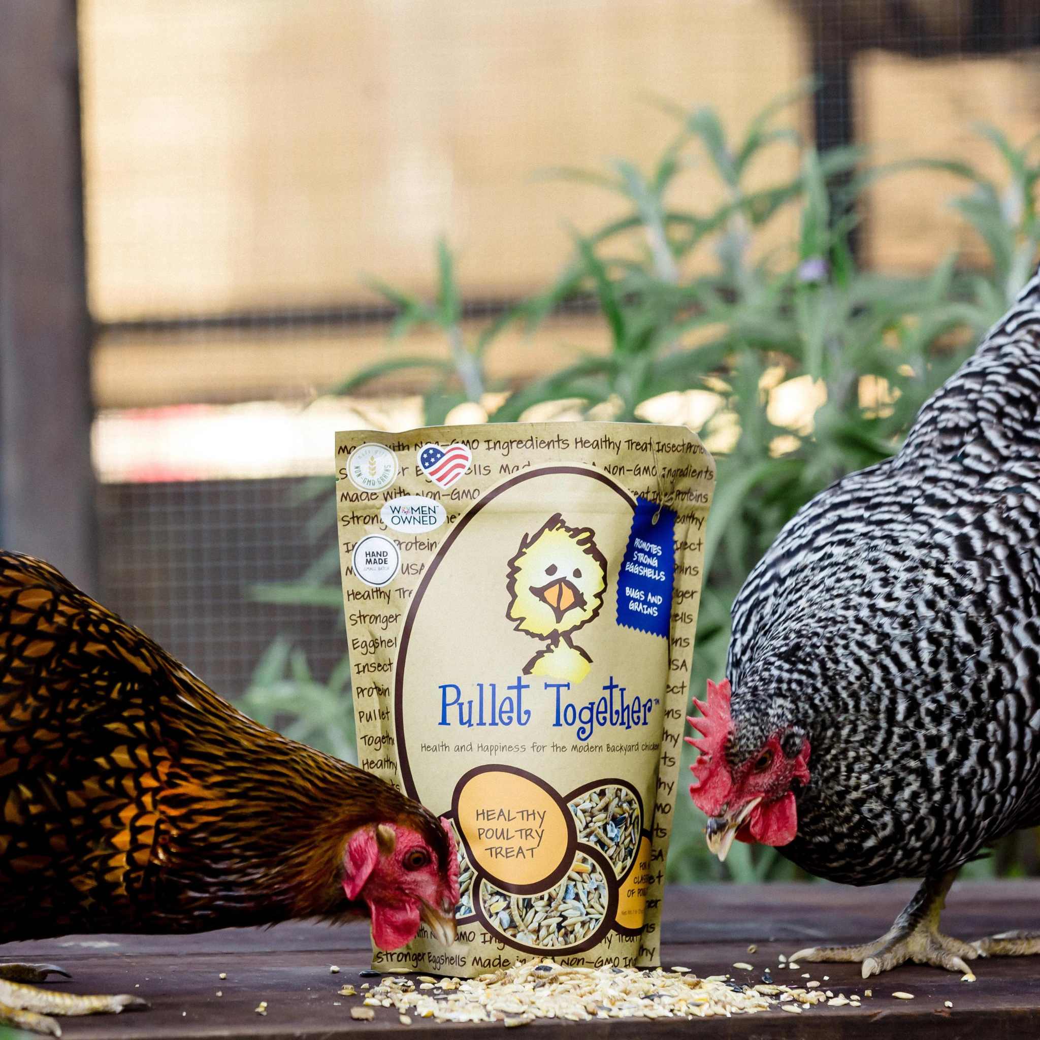 Pullet Together® - 5 lb with poultry treat