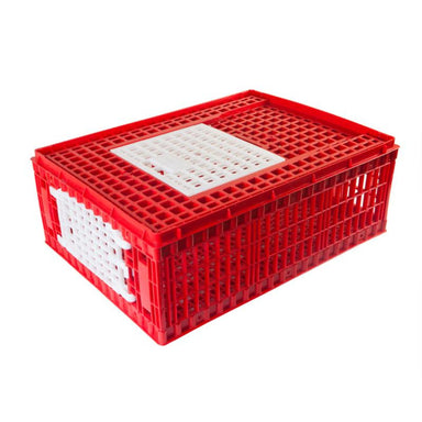 Hatching Time ABS plastic chicken transport coop, model 301007, for transporting up to 10–14 chickens.
