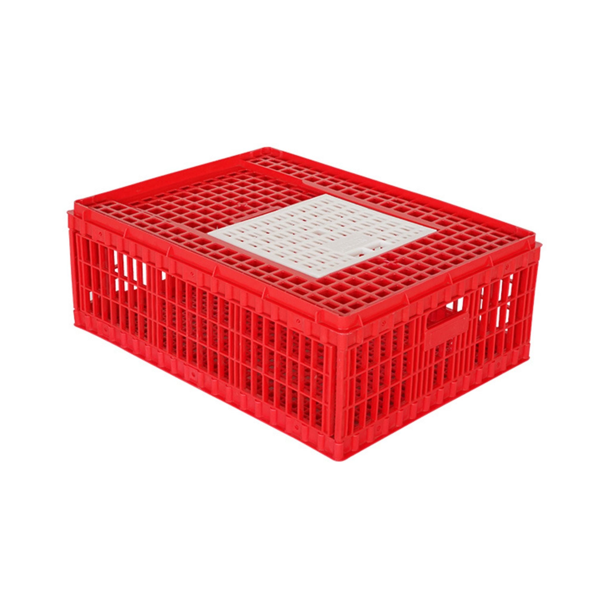 Hatching Time Medium Chicken Transport Coop with top-access door, model 301006