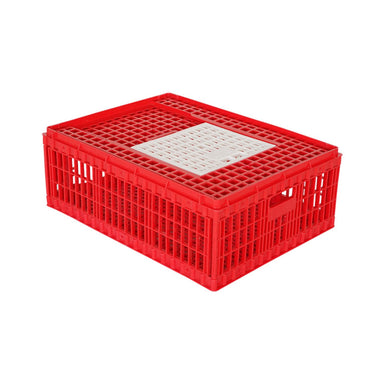 Hatching Time Medium Chicken Transport Coop with top-access door, model 301006
