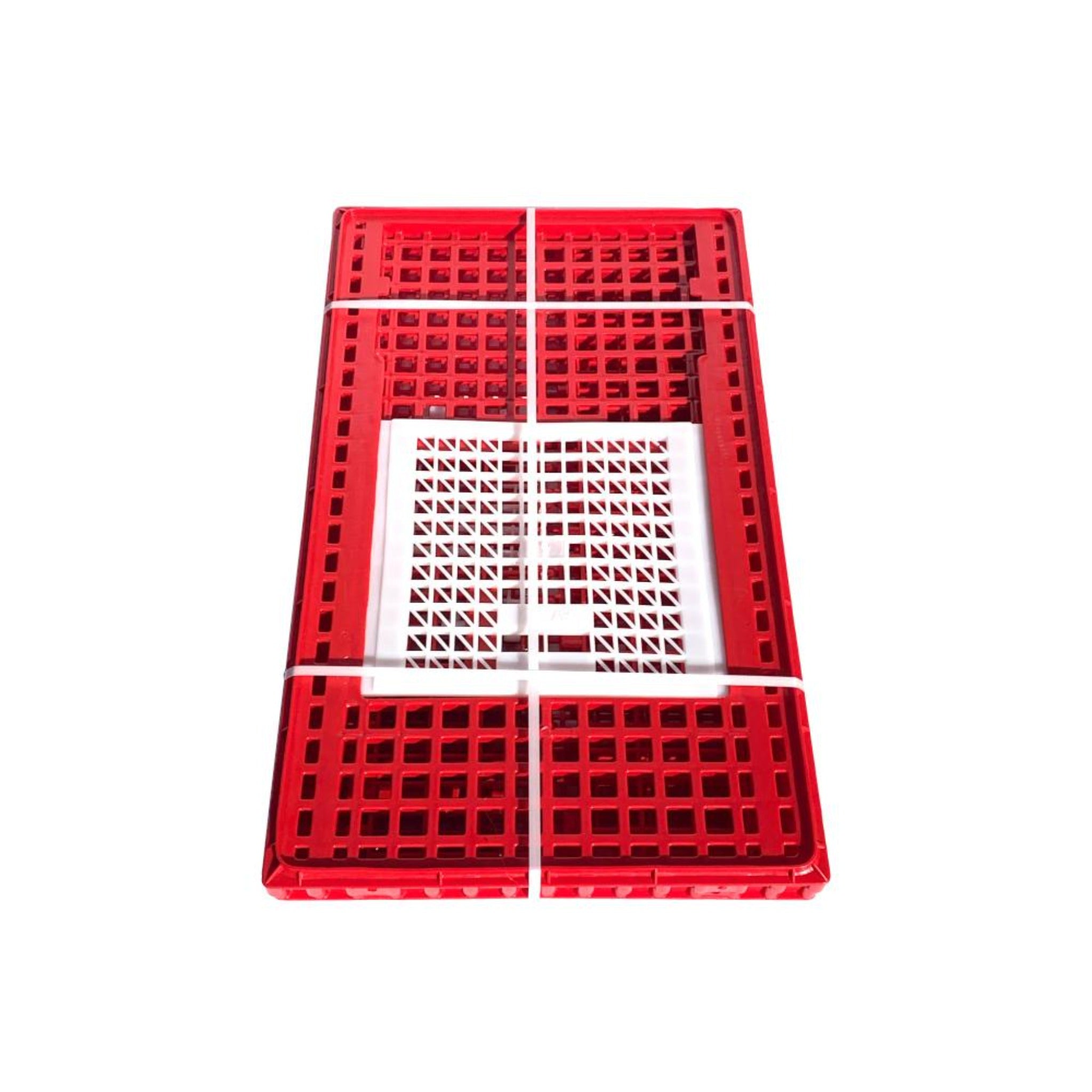 Hatching Time Model 301003 poultry transport crate for 12–16 chickens.