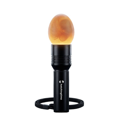 Hatching Time rechargeable LED poultry egg candler with 500-lumen light