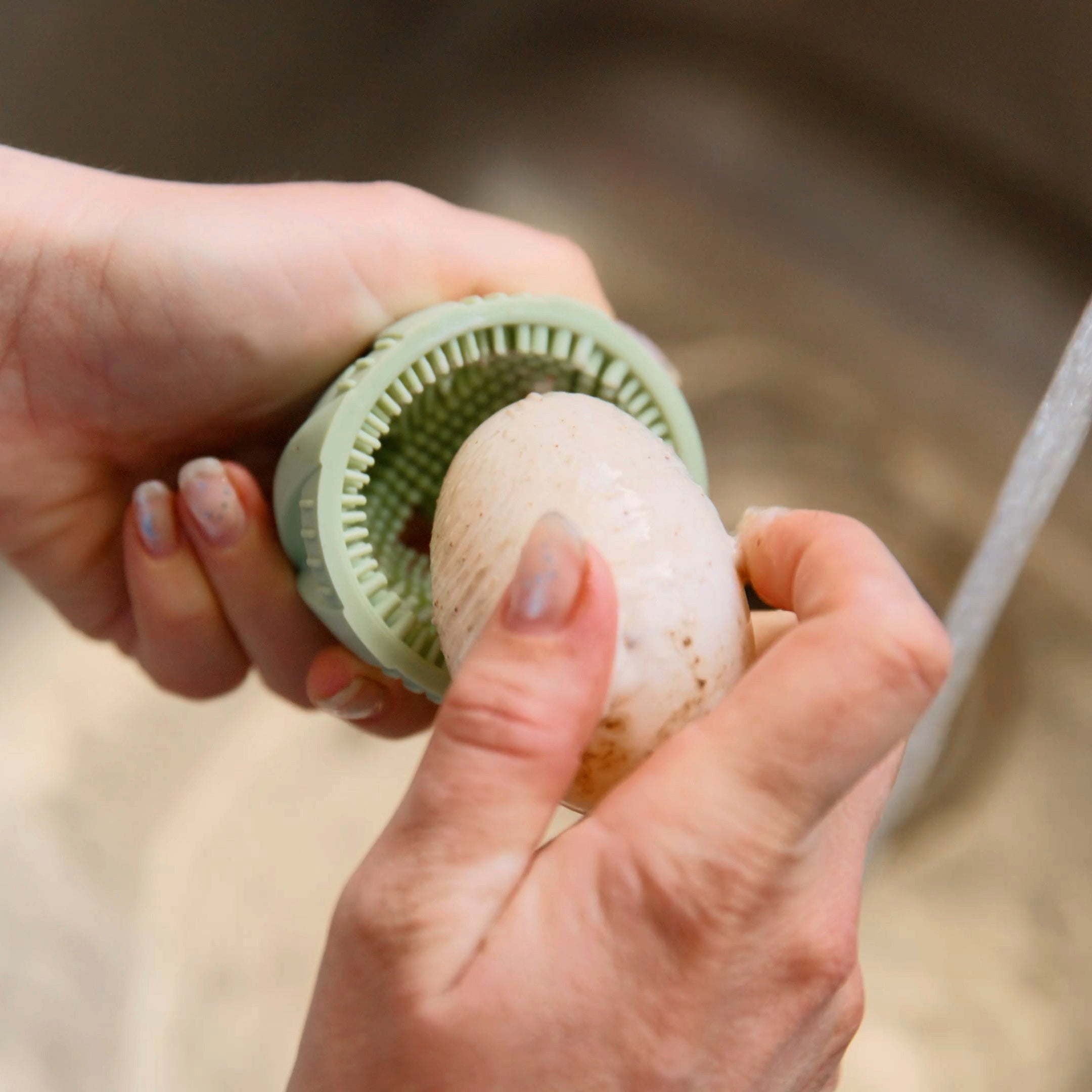 Egg Wash Deep Cleaning | GoodEgg Wash Heavy Doody