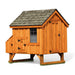HenHouse Collection A-Frame Chicken Coop A44 chicken door